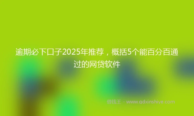 逾期必下口子2025年推荐，概括5个能百分百通过的网贷软件