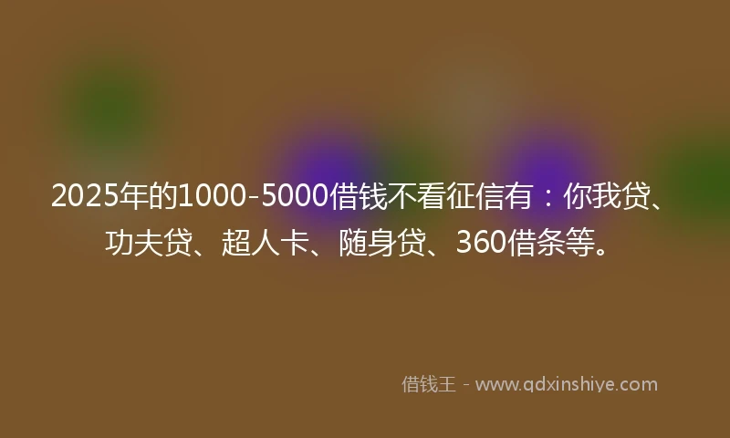 2025年的1000-5000借钱不看征信有：你我贷、功夫贷、超人卡、随身贷、360借条等。