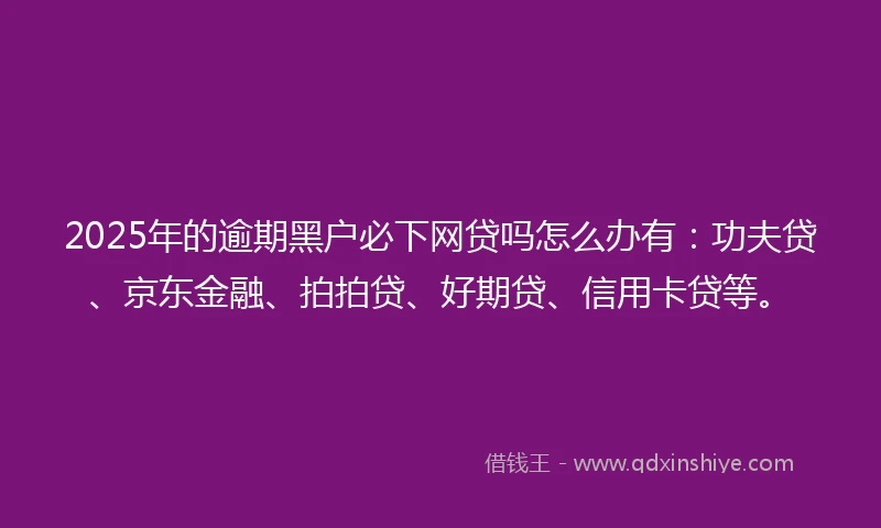 2025年的逾期黑户必下网贷吗怎么办有：功夫贷、京东金融、拍拍贷、好期贷、信用卡贷等。