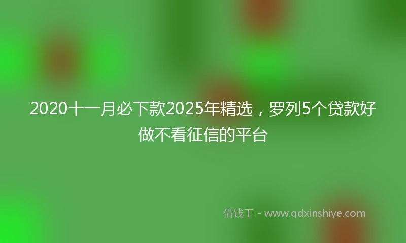 2020十一月必下款2025年精选，罗列5个贷款好做不看征信的平台