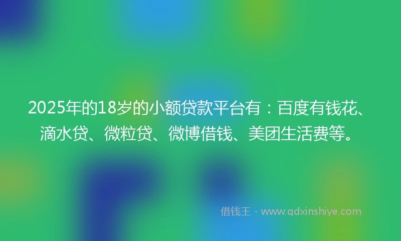 2025年的18岁的小额贷款平台有：百度有钱花、滴水贷、微粒贷、微博借钱、美团生活费等。