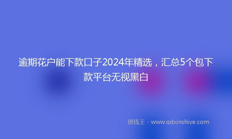 逾期花户能下款口子2024年精选，汇总5个包下款平台无视黑白