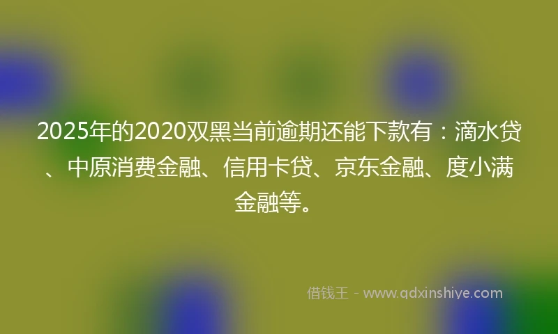 2025年的2020双黑当前逾期还能下款有：滴水贷、中原消费金融、信用卡贷、京东金融、度小满金融等。