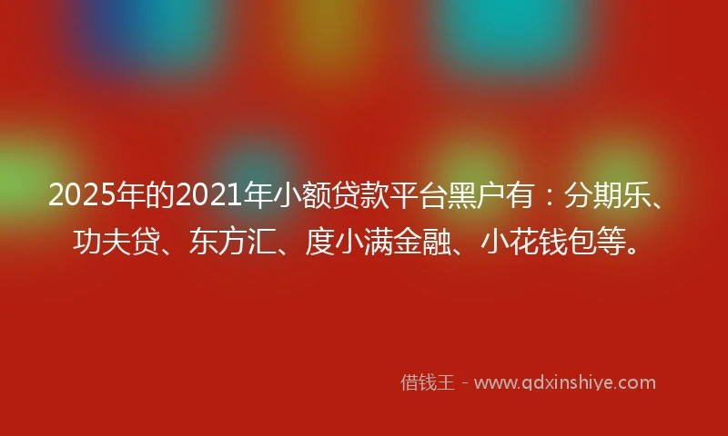 2025年的2021年小额贷款平台黑户有：分期乐、功夫贷、东方汇、度小满金融、小花钱包等。