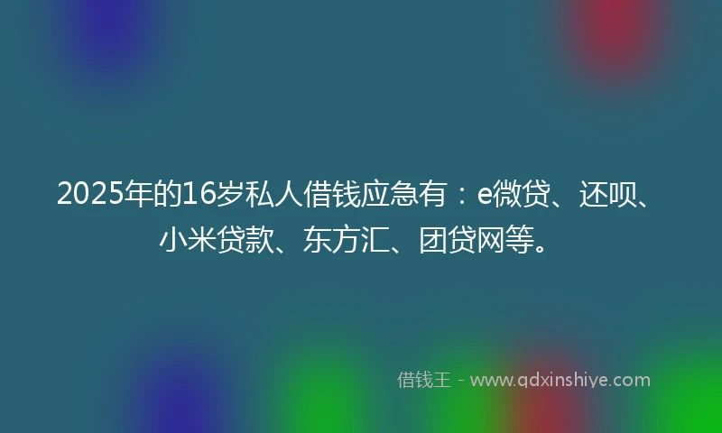 2025年的16岁私人借钱应急有：e微贷、还呗、小米贷款、东方汇、团贷网等。