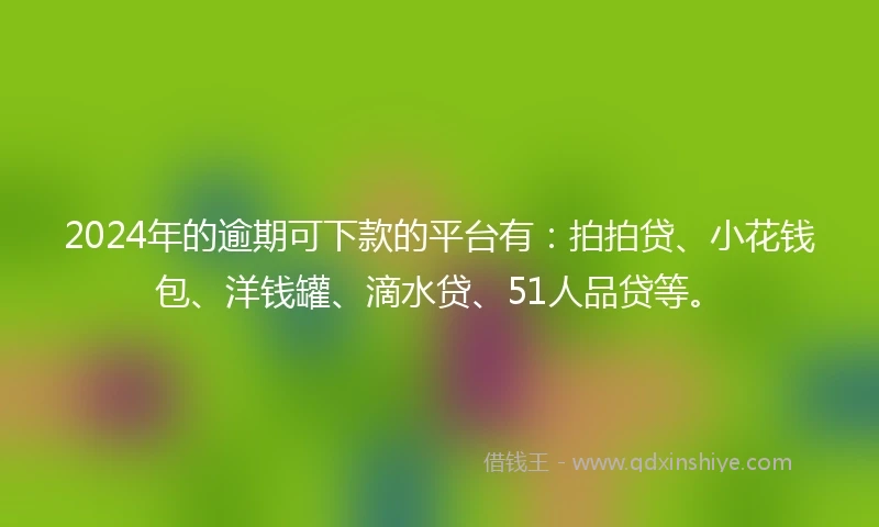 2024年的逾期可下款的平台有：拍拍贷、小花钱包、洋钱罐、滴水贷、51人品贷等。