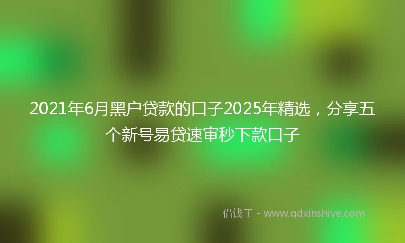2021年6月黑户贷款的口子2025年精选，分享五个新号易贷速审秒下款口子