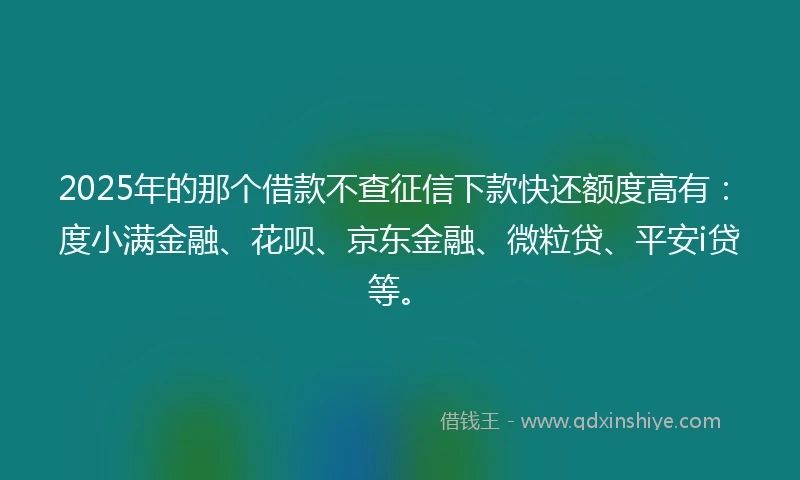2025年的那个借款不查征信下款快还额度高有：度小满金融、花呗、京东金融、微粒贷、平安i贷等。