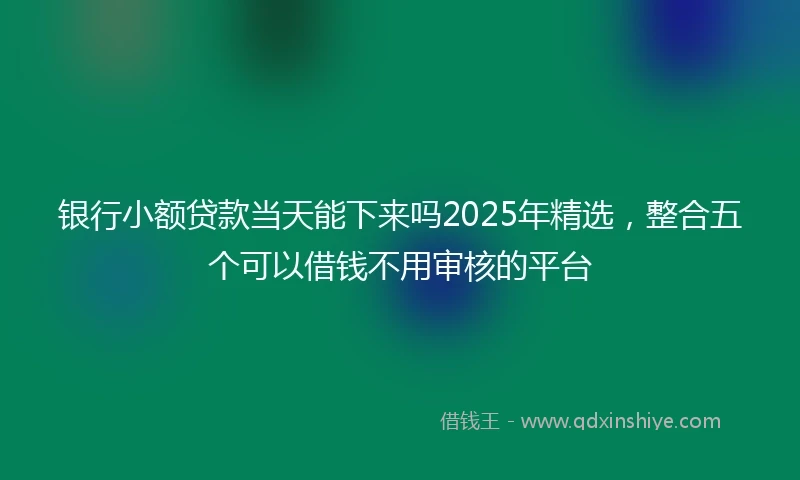 银行小额贷款当天能下来吗2025年精选，整合五个可以借钱不用审核的平台