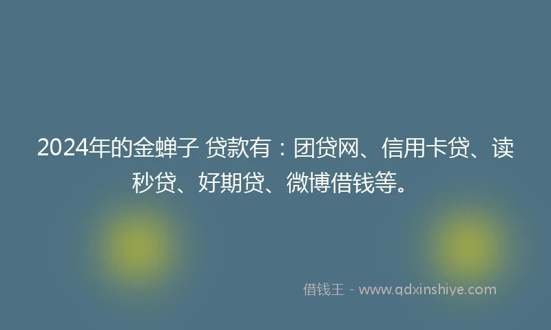 2024年的金蝉子 贷款有：团贷网、信用卡贷、读秒贷、好期贷、微博借钱等。