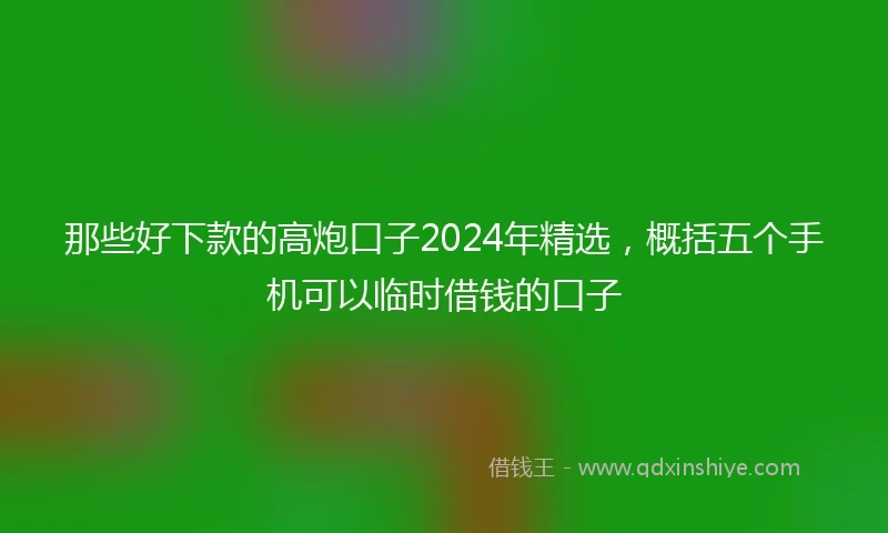 那些好下款的高炮口子2024年精选，概括五个手机可以临时借钱的口子