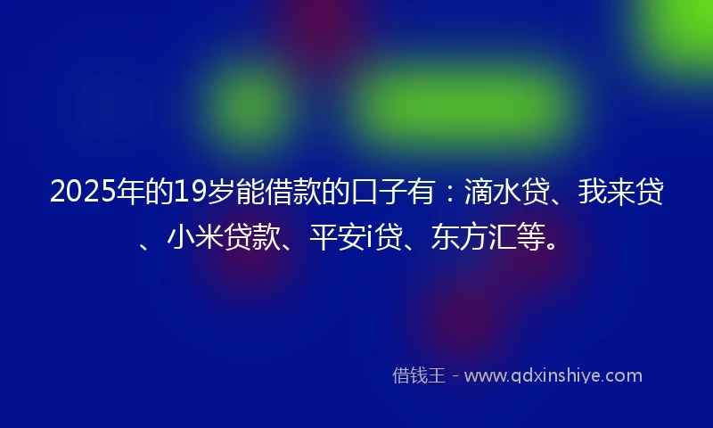 2025年的19岁能借款的口子有：滴水贷、我来贷、小米贷款、平安i贷、东方汇等。