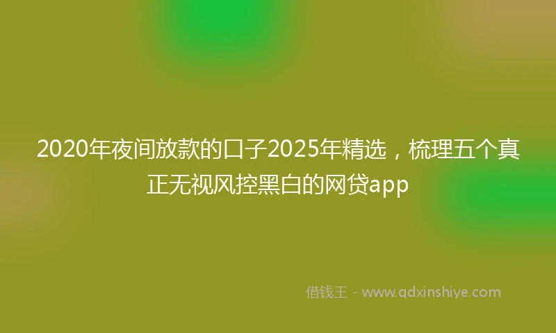 2020年夜间放款的口子2025年精选，梳理五个真正无视风控黑白的网贷app