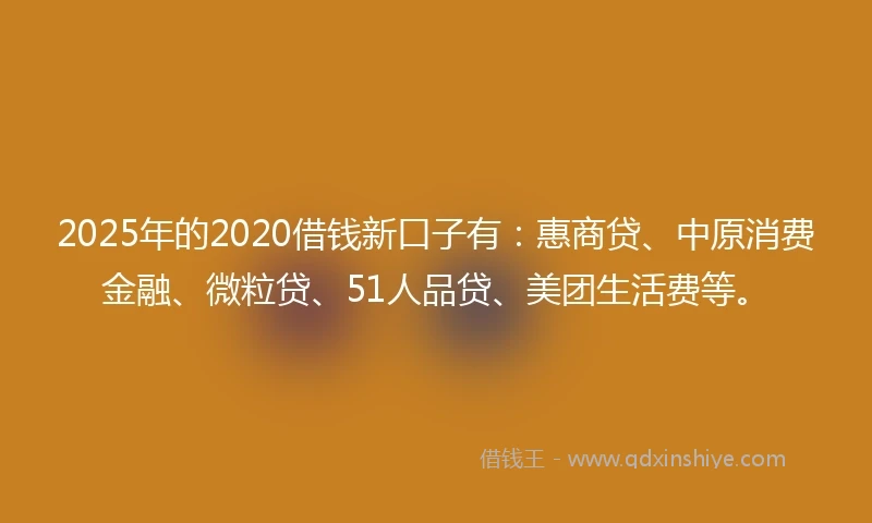 2025年的2020借钱新口子有：惠商贷、中原消费金融、微粒贷、51人品贷、美团生活费等。