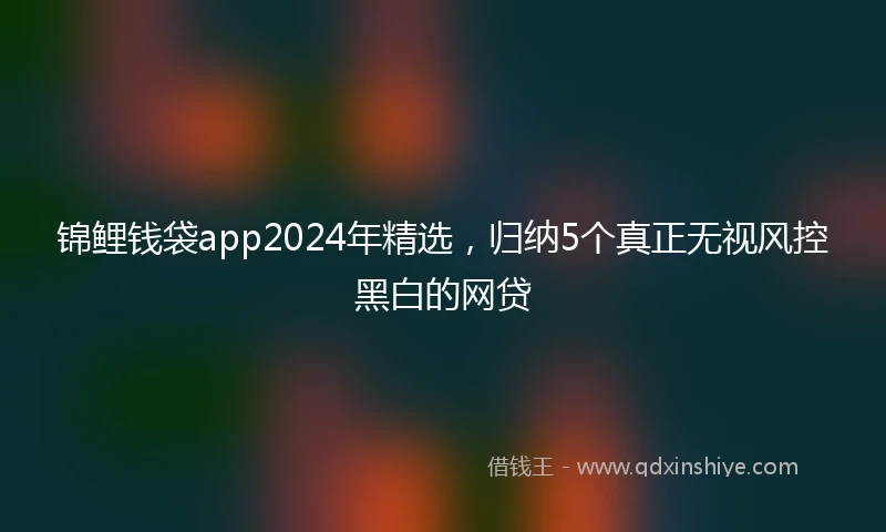 锦鲤钱袋app2024年精选，归纳5个真正无视风控黑白的网贷