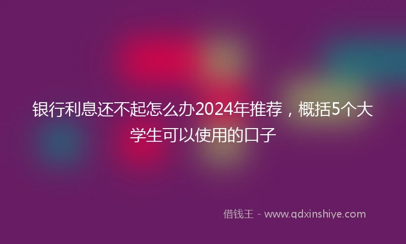 银行利息还不起怎么办2024年推荐，概括5个大学生可以使用的口子