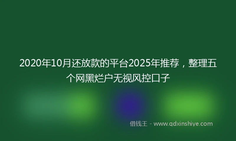 2020年10月还放款的平台2025年推荐，整理五个网黑烂户无视风控口子