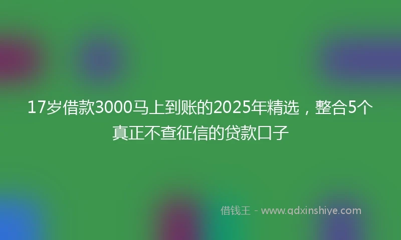 17岁借款3000马上到账的2025年精选，整合5个真正不查征信的贷款口子