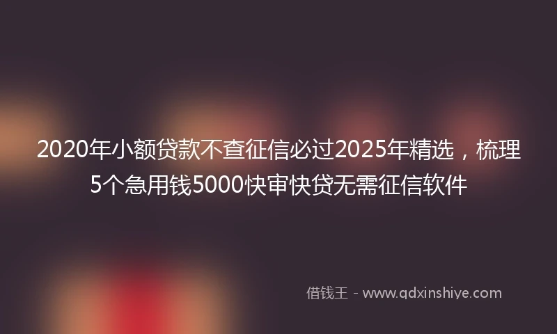 2020年小额贷款不查征信必过2025年精选，梳理5个急用钱5000快审快贷无需征信软件