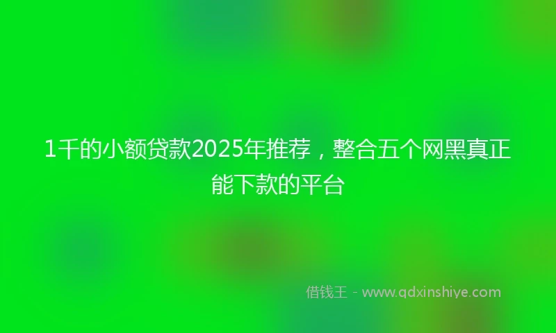 1千的小额贷款2025年推荐，整合五个网黑真正能下款的平台
