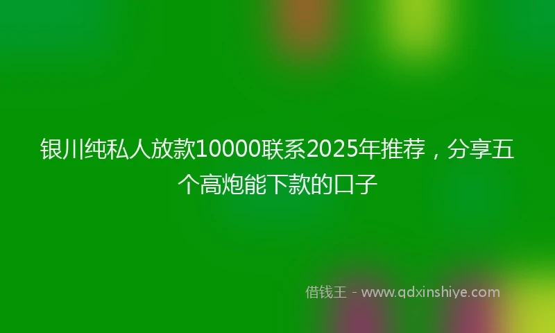 银川纯私人放款10000联系2025年推荐，分享五个高炮能下款的口子