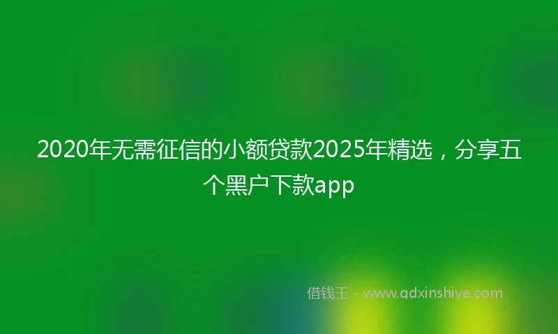 2020年无需征信的小额贷款2025年精选，分享五个黑户下款app