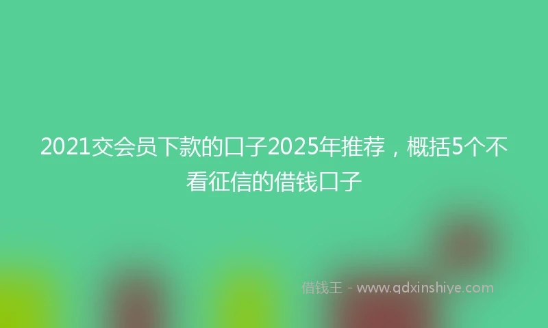 2021交会员下款的口子2025年推荐，概括5个不看征信的借钱口子
