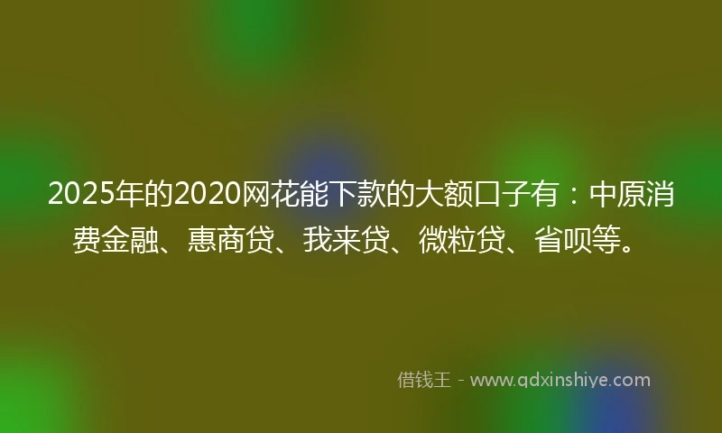 2025年的2020网花能下款的大额口子有：中原消费金融、惠商贷、我来贷、微粒贷、省呗等。