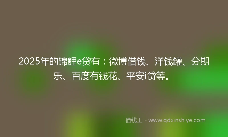 2025年的锦鲤e贷有：微博借钱、洋钱罐、分期乐、百度有钱花、平安i贷等。