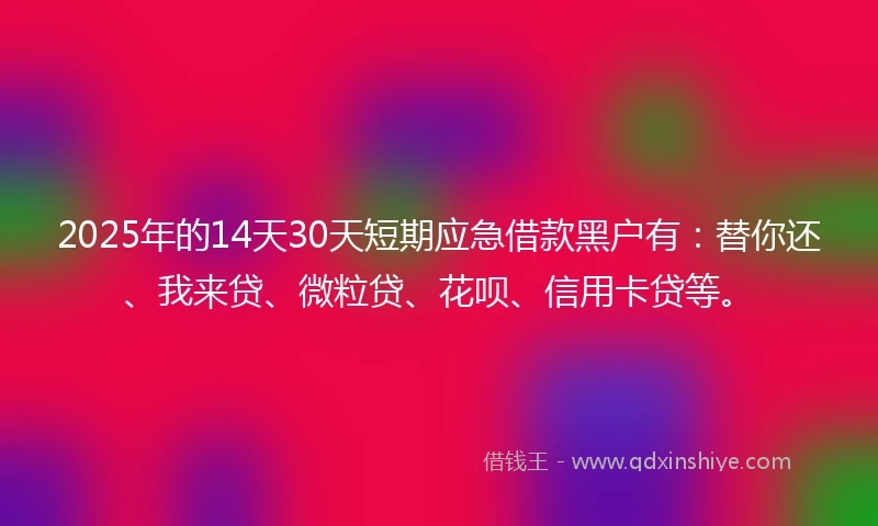 2025年的14天30天短期应急借款黑户有：替你还、我来贷、微粒贷、花呗、信用卡贷等。