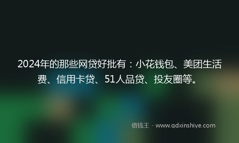 2024年的那些网贷好批有：小花钱包、美团生活费、信用卡贷、51人品贷、投友圈等。