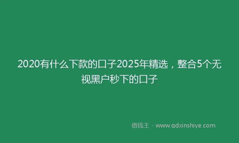 2020有什么下款的口子2025年精选，整合5个无视黑户秒下的口子