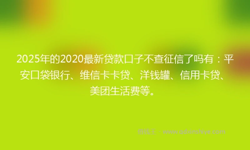 2025年的2020最新贷款口子不查征信了吗有：平安口袋银行、维信卡卡贷、洋钱罐、信用卡贷、美团生活费等。