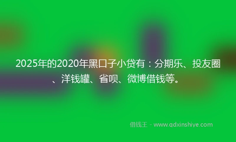 2025年的2020年黑口子小贷有：分期乐、投友圈、洋钱罐、省呗、微博借钱等。