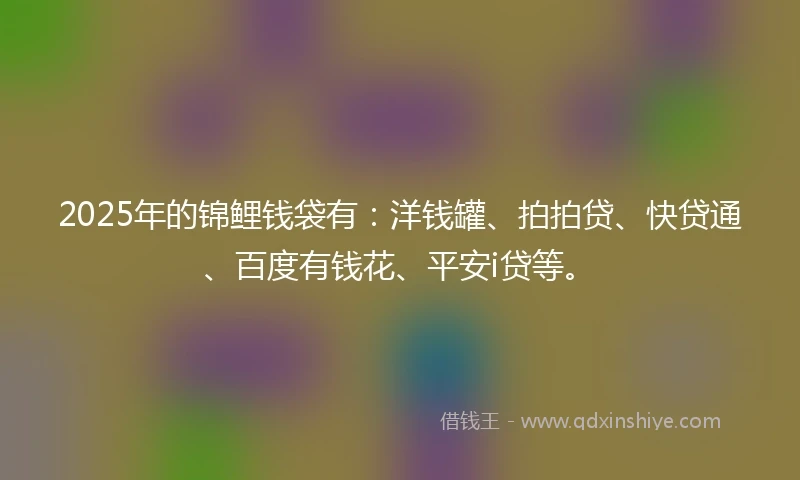 2025年的锦鲤钱袋有：洋钱罐、拍拍贷、快贷通、百度有钱花、平安i贷等。