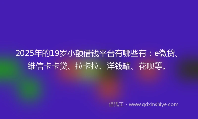 2025年的19岁小额借钱平台有哪些有：e微贷、维信卡卡贷、拉卡拉、洋钱罐、花呗等。