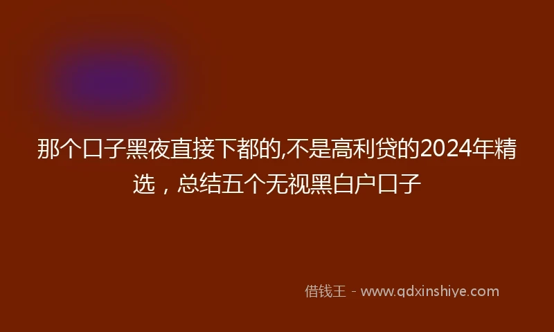 那个口子黑夜直接下都的,不是高利贷的2024年精选，总结五个无视黑白户口子