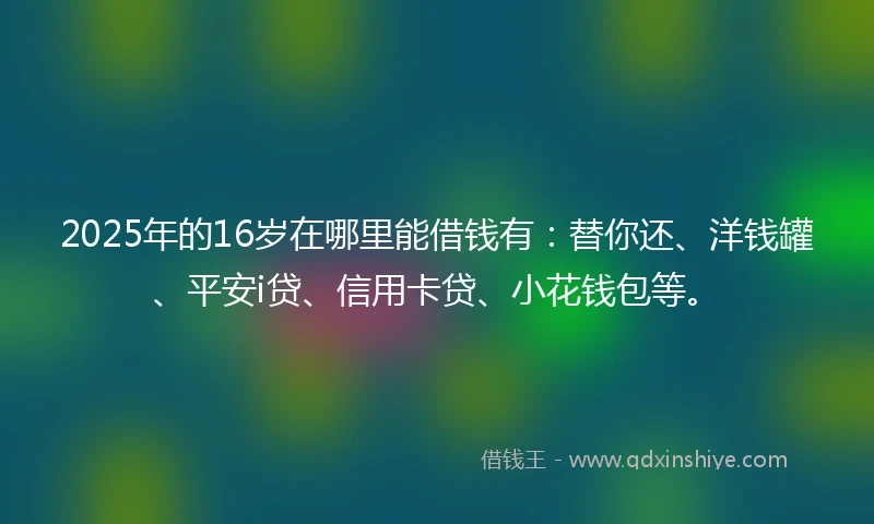 2025年的16岁在哪里能借钱有：替你还、洋钱罐、平安i贷、信用卡贷、小花钱包等。