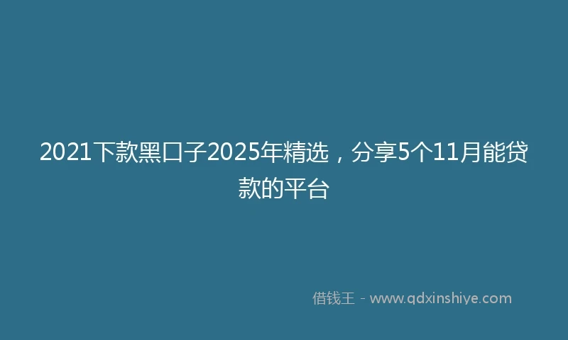 2021下款黑口子2025年精选，分享5个11月能贷款的平台