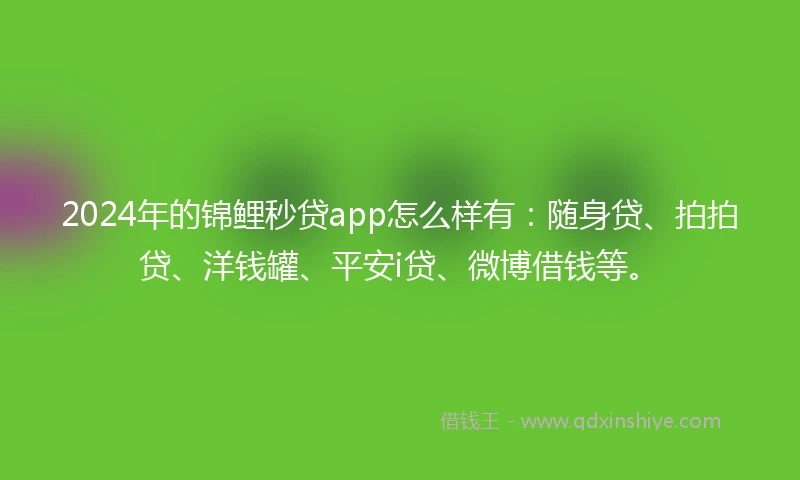 2024年的锦鲤秒贷app怎么样有：随身贷、拍拍贷、洋钱罐、平安i贷、微博借钱等。