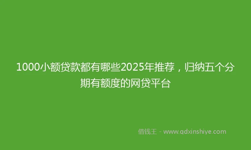 1000小额贷款都有哪些2025年推荐，归纳五个分期有额度的网贷平台