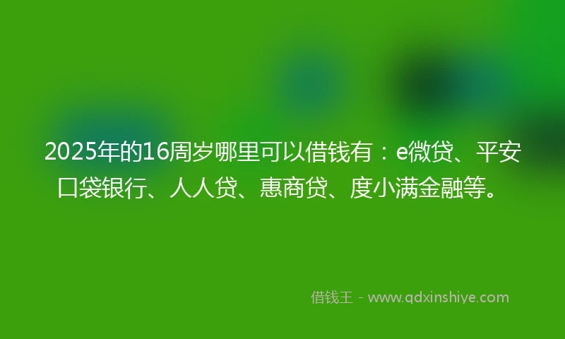 2025年的16周岁哪里可以借钱有：e微贷、平安口袋银行、人人贷、惠商贷、度小满金融等。