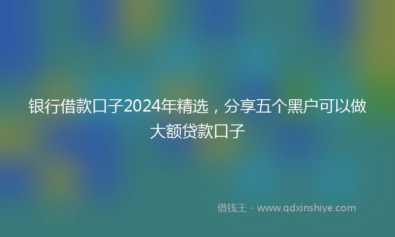 银行借款口子2024年精选，分享五个黑户可以做大额贷款口子