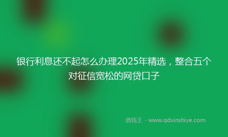 银行利息还不起怎么办理2025年精选，整合五个对征信宽松的网贷口子