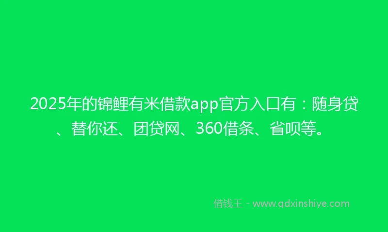 2025年的锦鲤有米借款app官方入口有：随身贷、替你还、团贷网、360借条、省呗等。