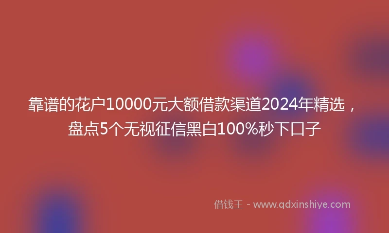 靠谱的花户10000元大额借款渠道2024年精选，盘点5个无视征信黑白100%秒下口子