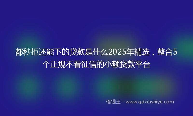 都秒拒还能下的贷款是什么2025年精选，整合5个正规不看征信的小额贷款平台