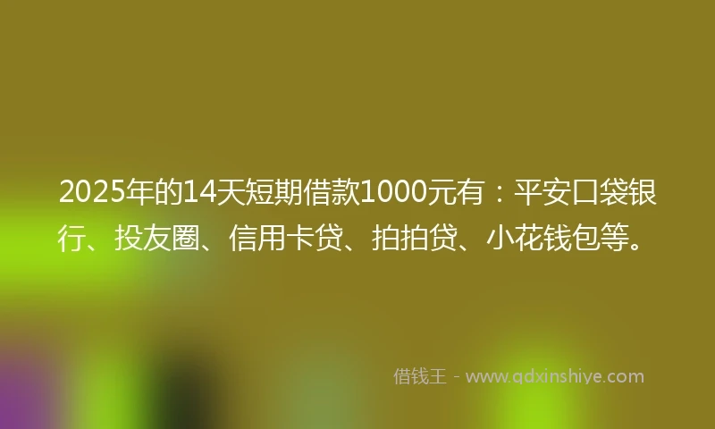 2025年的14天短期借款1000元有：平安口袋银行、投友圈、信用卡贷、拍拍贷、小花钱包等。