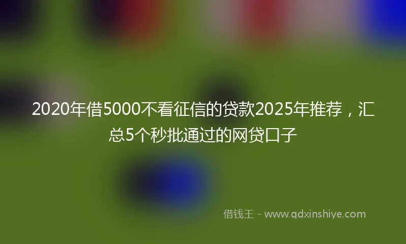 2020年借5000不看征信的贷款2025年推荐，汇总5个秒批通过的网贷口子