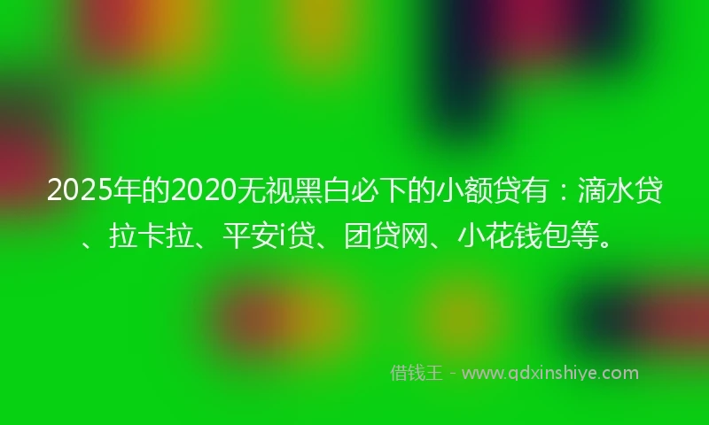 2025年的2020无视黑白必下的小额贷有：滴水贷、拉卡拉、平安i贷、团贷网、小花钱包等。